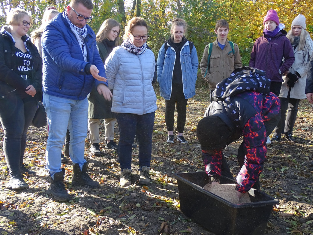 Kwietne łąki w Reptach Śląskich i Radzionkowie