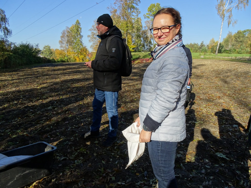 Kwietne łąki w Reptach Śląskich i Radzionkowie