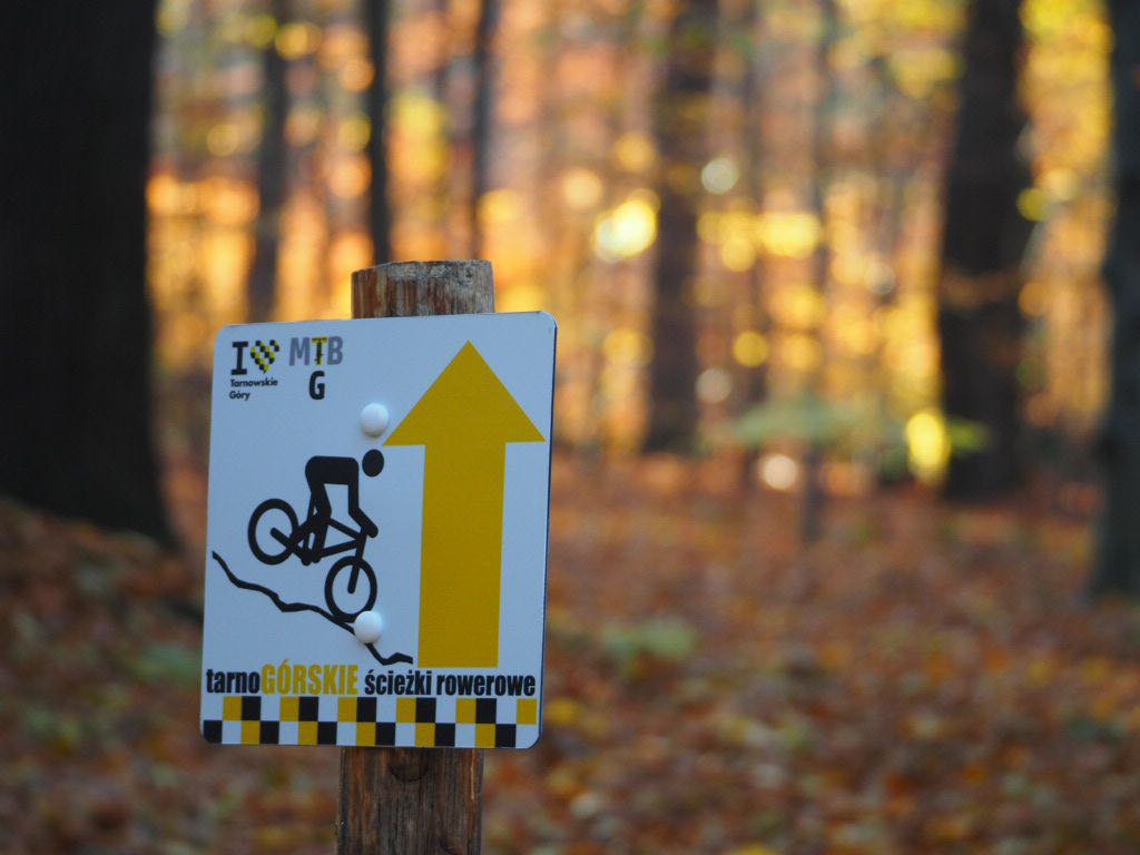 Pniok - ścieżka wokół parku Repeckiego