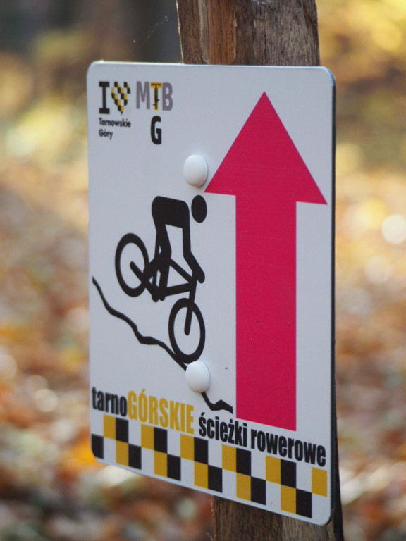 Pniok - ścieżka wokół parku Repeckiego