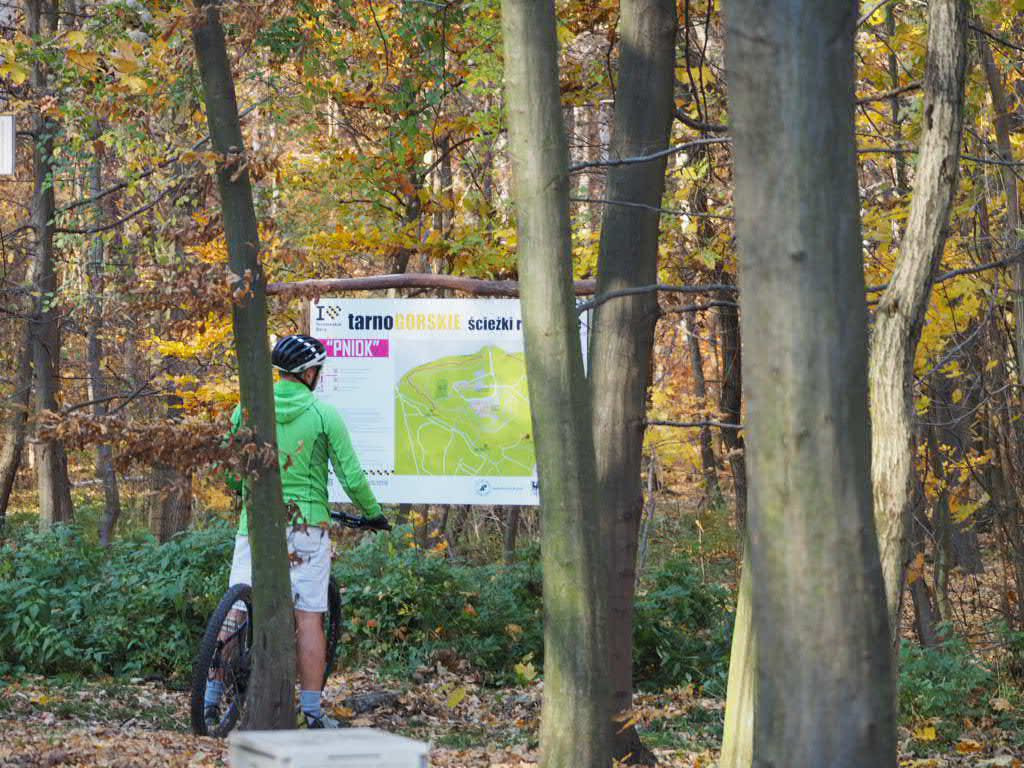 Pniok - ścieżka wokół parku Repeckiego