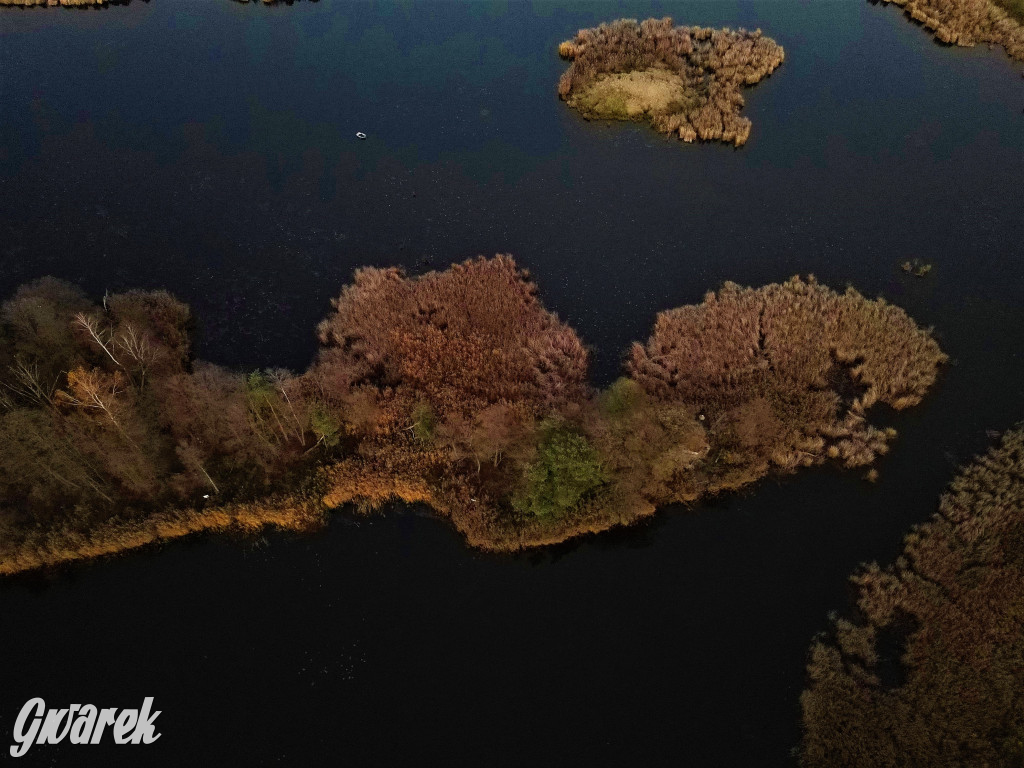 Kalety. Zielona w kolorach jesieni