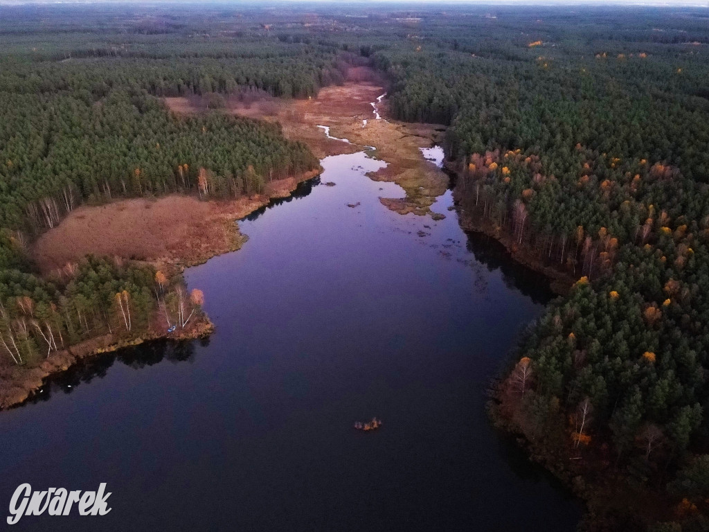 Kalety. Zielona w kolorach jesieni