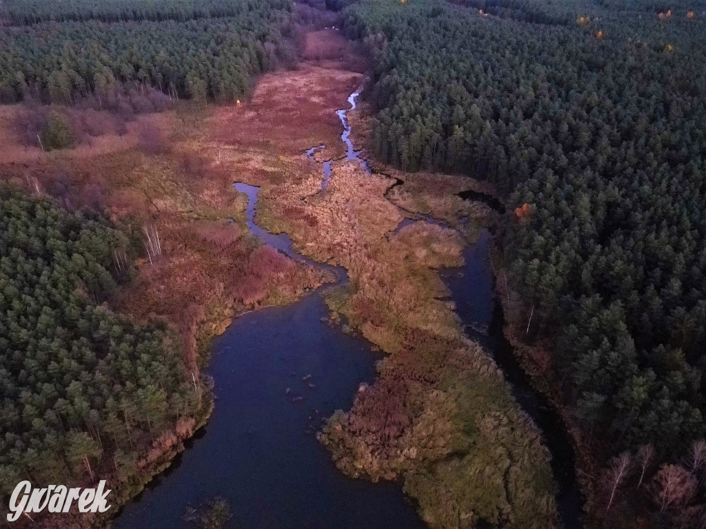 Kalety. Zielona w kolorach jesieni
