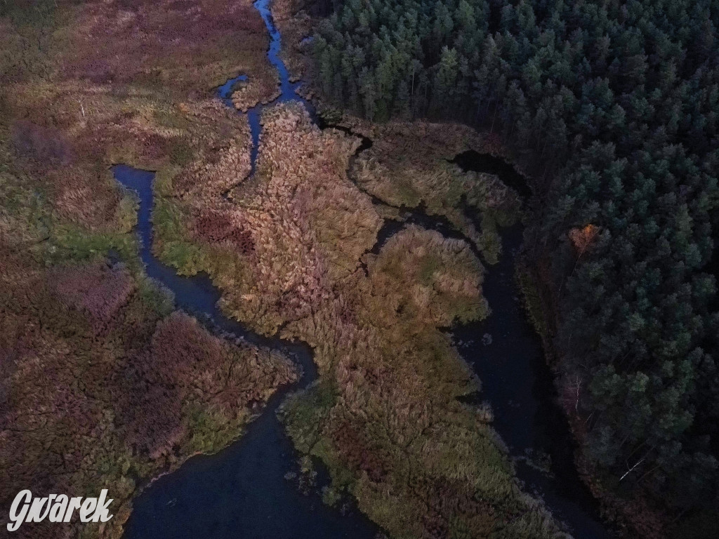 Kalety. Zielona w kolorach jesieni