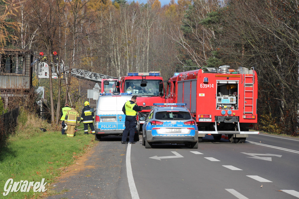 Tarnowskie Góry. Spłonęło 9 kontenerów