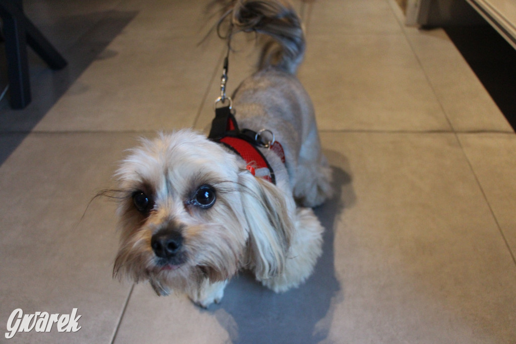 Superzwierzaki w obiektywie. Wręczenie nagród