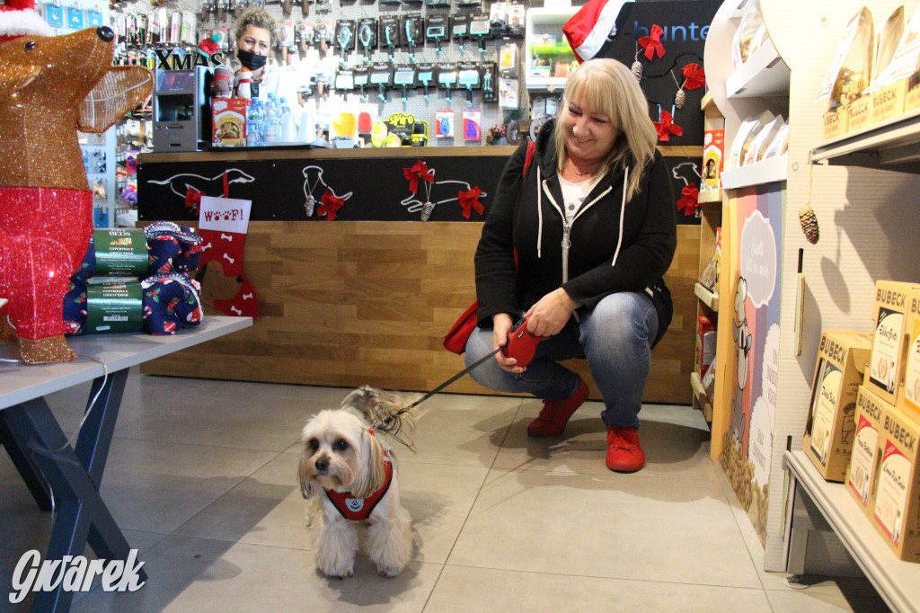 Superzwierzaki w obiektywie. Wręczenie nagród