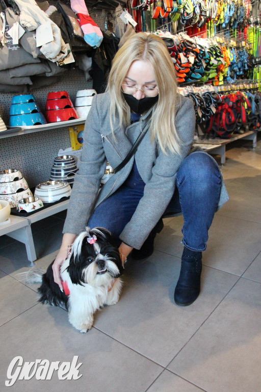 Superzwierzaki w obiektywie. Wręczenie nagród