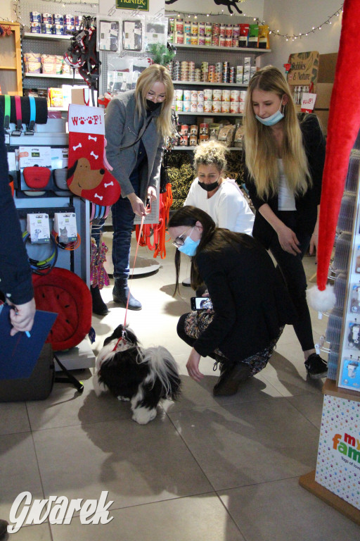 Superzwierzaki w obiektywie. Wręczenie nagród