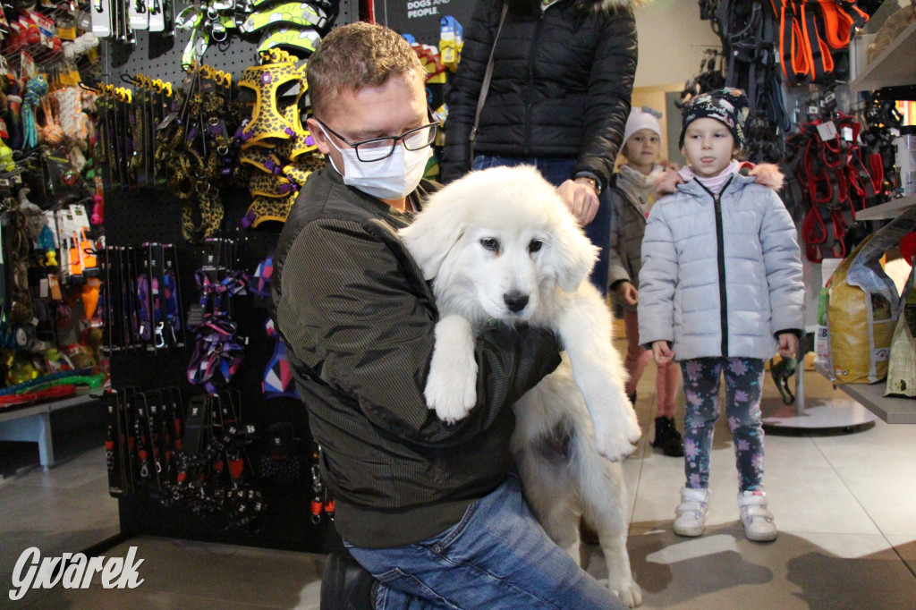 Superzwierzaki w obiektywie. Wręczenie nagród