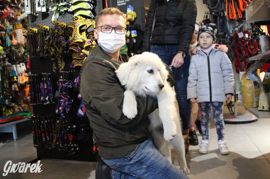 Superzwierzaki w obiektywie. Wręczenie nagród