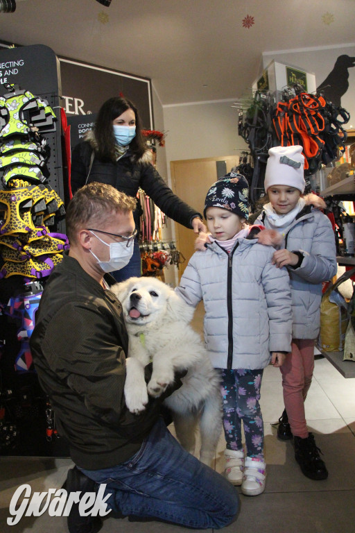 Superzwierzaki w obiektywie. Wręczenie nagród