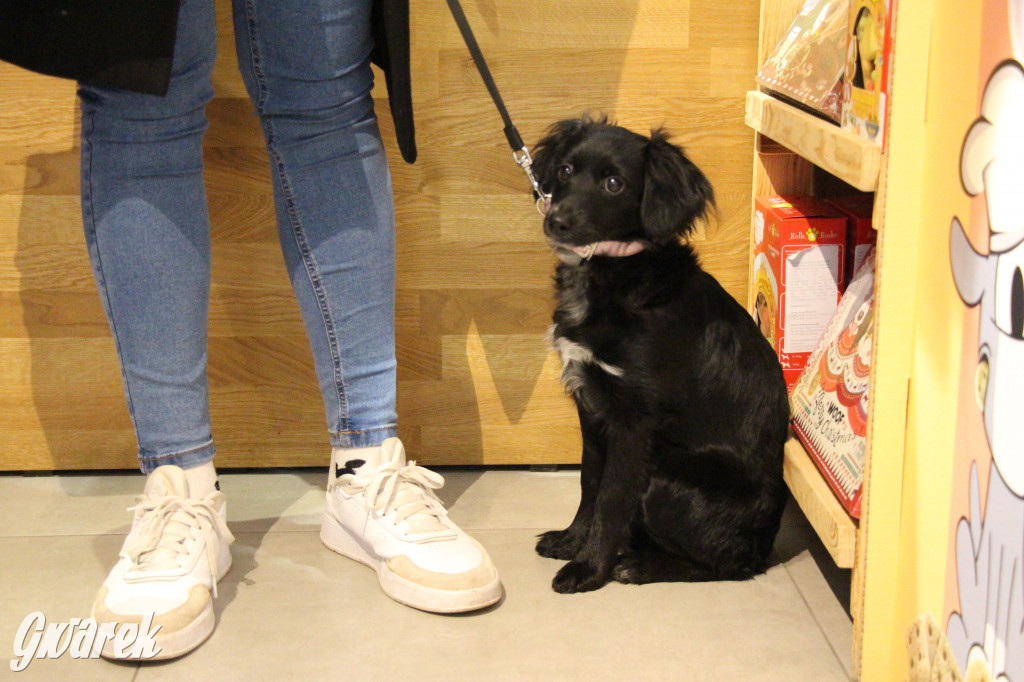 Superzwierzaki w obiektywie. Wręczenie nagród