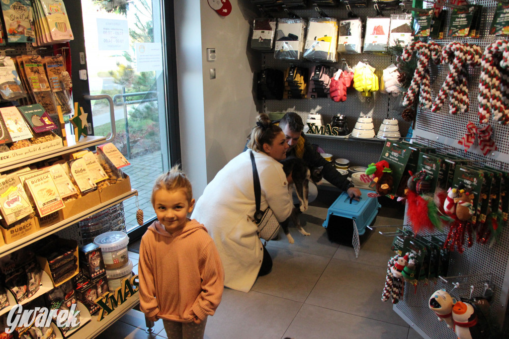 Superzwierzaki w obiektywie. Wręczenie nagród