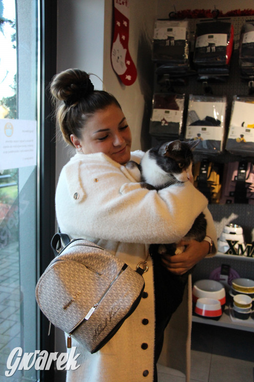 Superzwierzaki w obiektywie. Wręczenie nagród