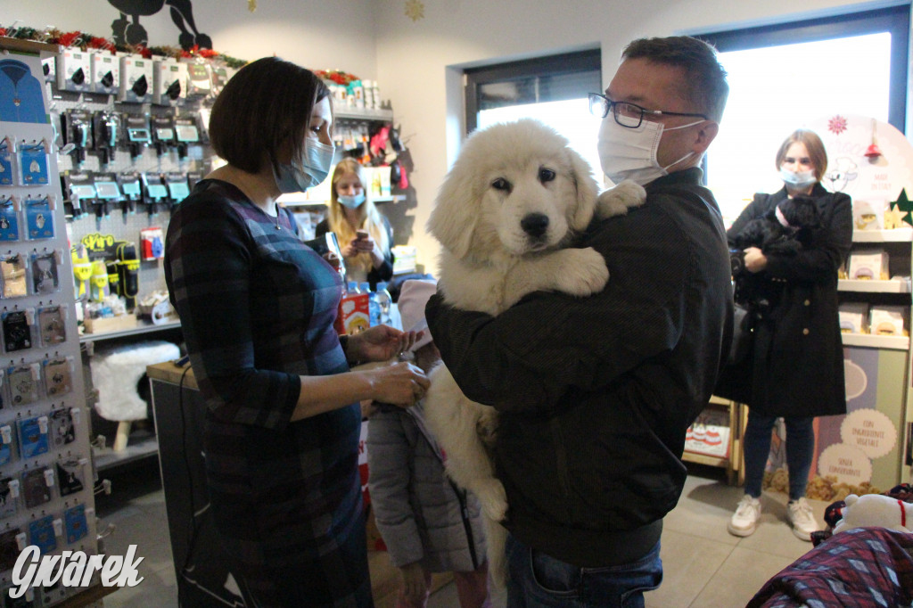 Superzwierzaki w obiektywie. Wręczenie nagród