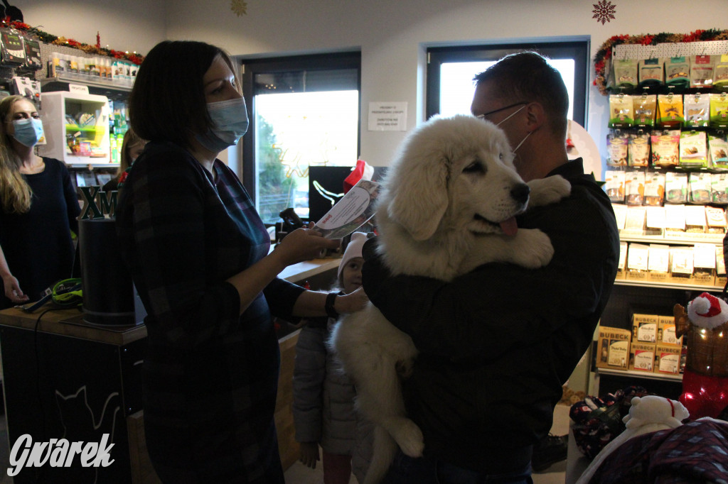 Superzwierzaki w obiektywie. Wręczenie nagród