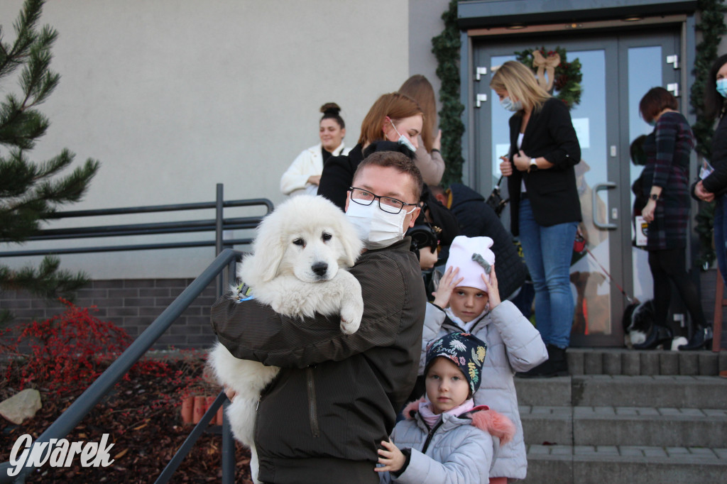 Superzwierzaki w obiektywie. Wręczenie nagród