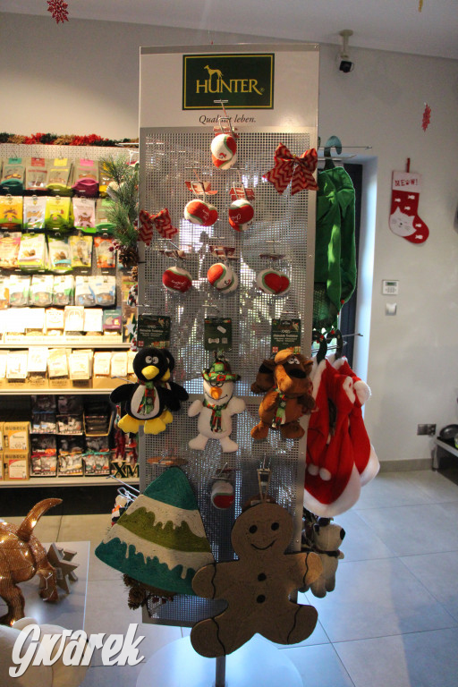 Superzwierzaki w obiektywie. Wręczenie nagród