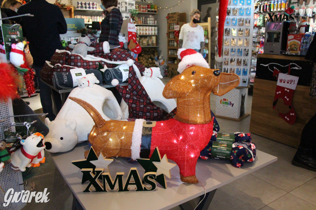 Superzwierzaki w obiektywie. Wręczenie nagród