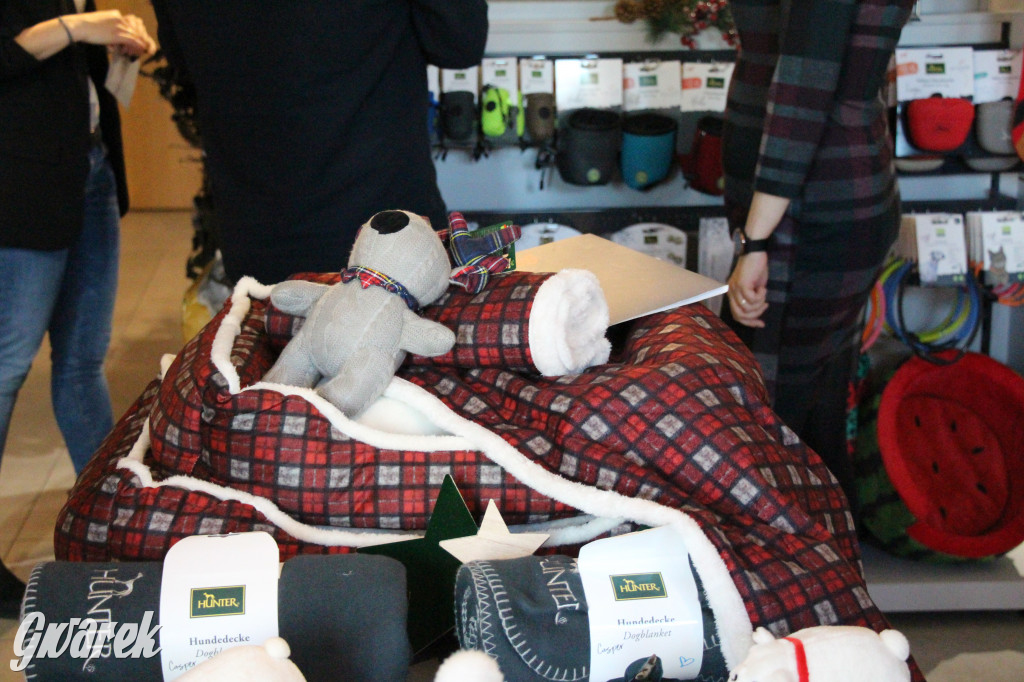 Superzwierzaki w obiektywie. Wręczenie nagród