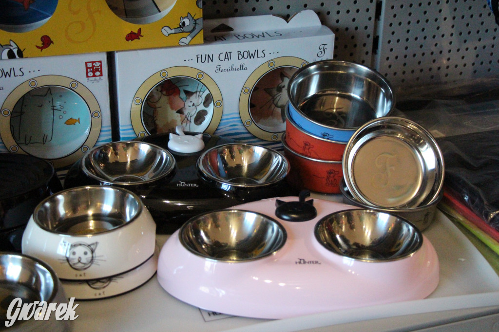 Superzwierzaki w obiektywie. Wręczenie nagród