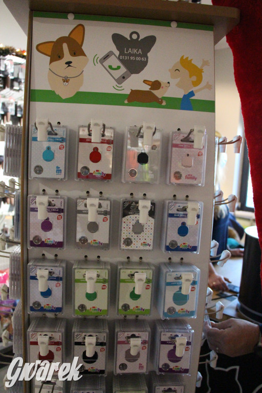 Superzwierzaki w obiektywie. Wręczenie nagród