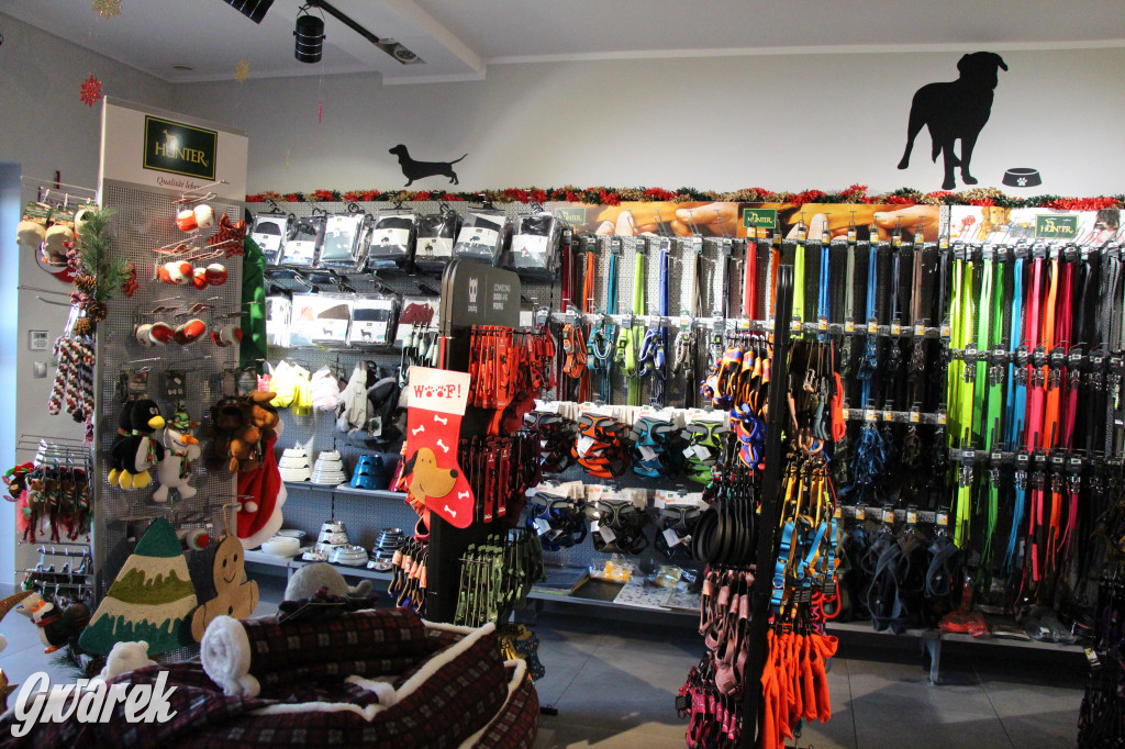 Superzwierzaki w obiektywie. Wręczenie nagród