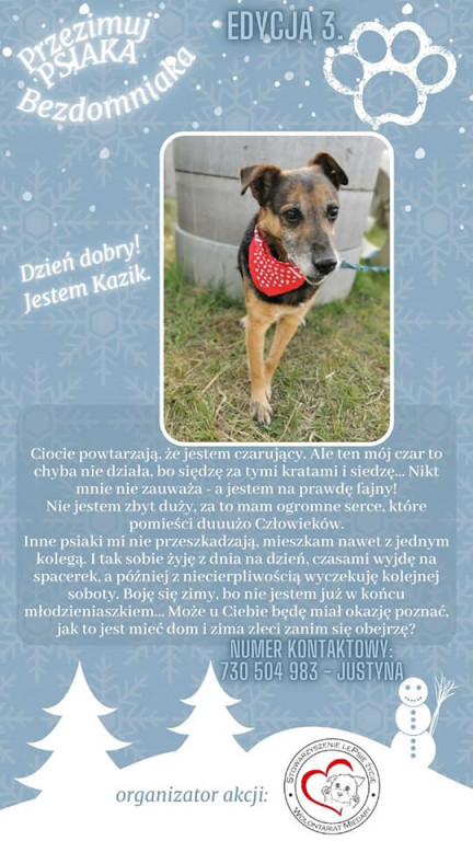 Przezimuj psiaka ze schroniska!
