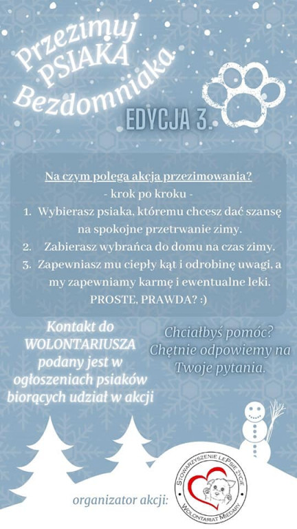 Przezimuj psiaka ze schroniska!