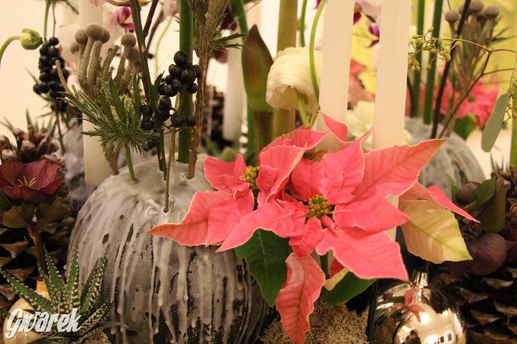 Wieńce adwentowe i nie tylko. Florystyczne cuda w CEKUŚ