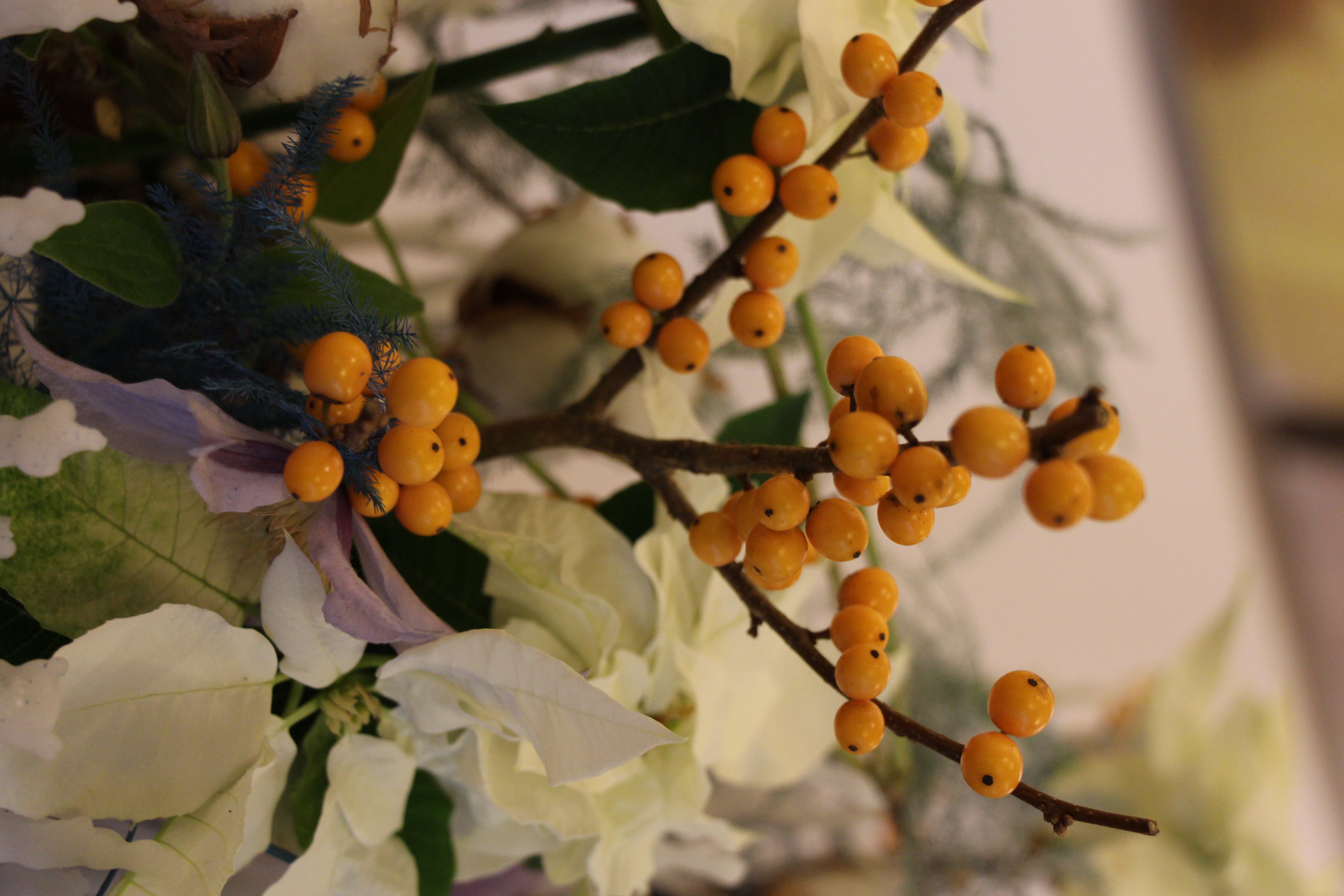 Wieńce adwentowe i nie tylko. Florystyczne cuda w CEKUŚ