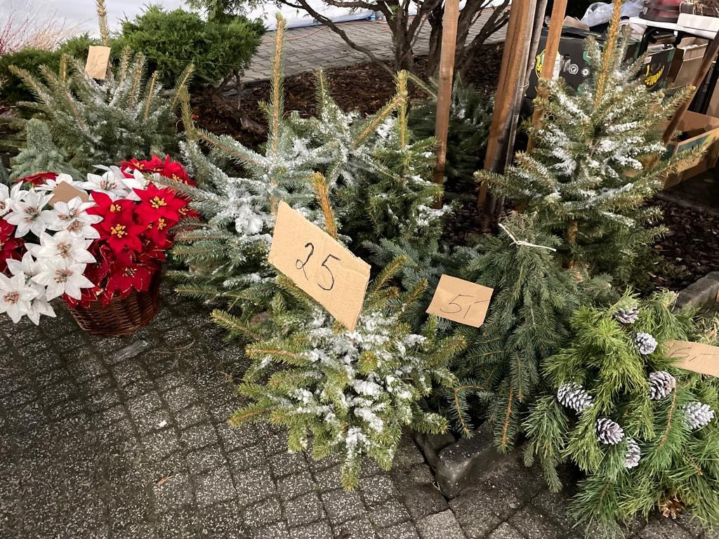 Karuzela, rękodzieło, przysmaki. Jarmark w Piekarach Śląskich