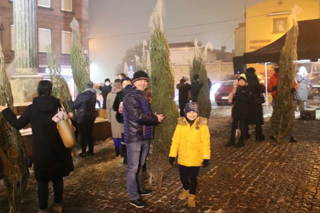 Choinka w Piekarach Śląskich rozświetlona