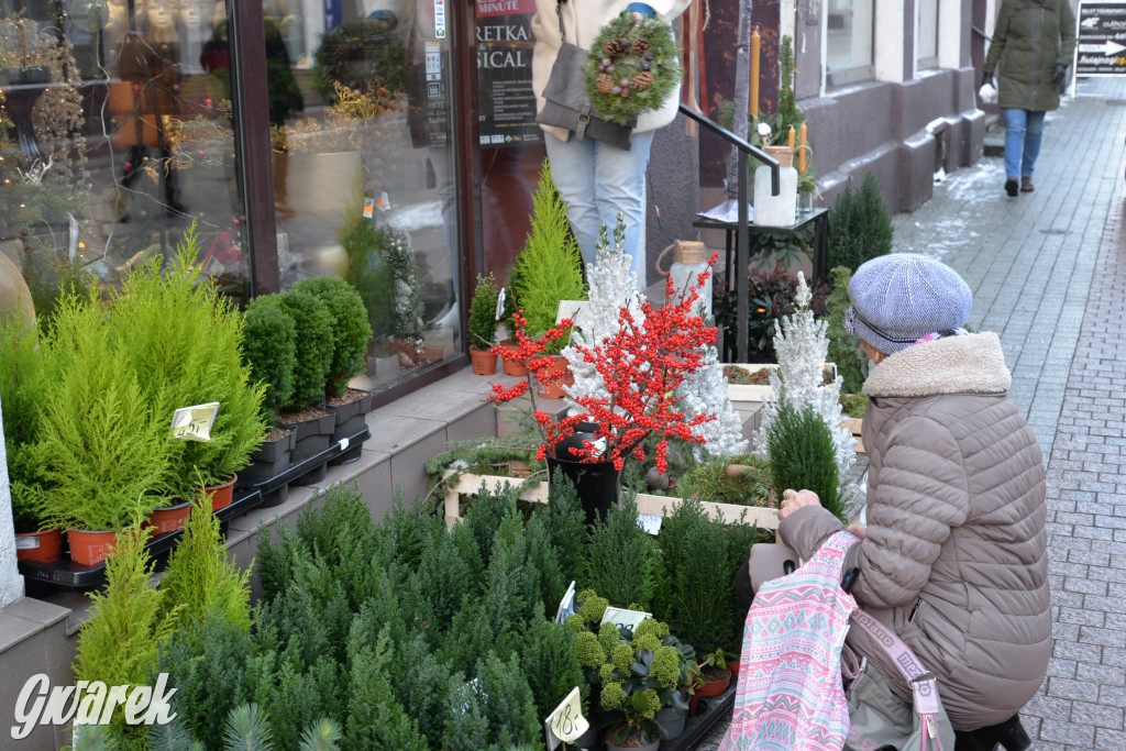 Tarnowskie Góry. Krakowska w świątecznym klimacie