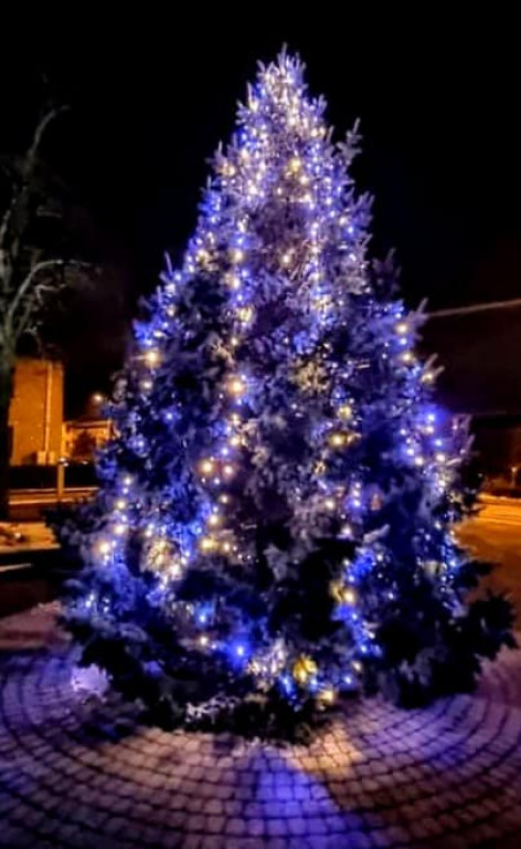 Wspólne strojenie choinki w Orzechu