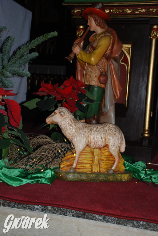 Stajenki w kościele w Radzionkowie