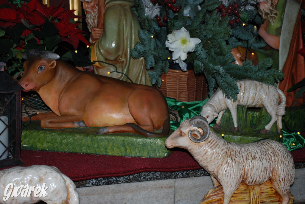 Stajenki w kościele w Radzionkowie