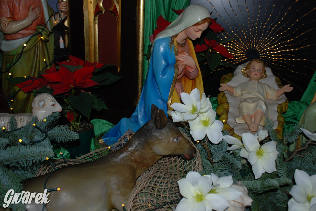 Stajenki w kościele w Radzionkowie