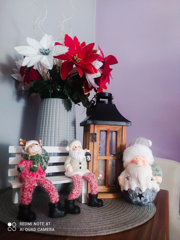 Plebiscyt na najładniejszą świąteczną dekorację