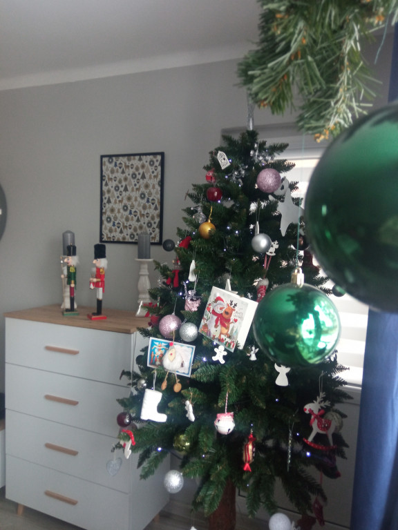 Plebiscyt na najładniejszą świąteczną dekorację