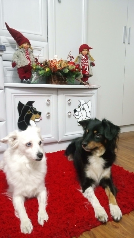 Plebiscyt na najładniejszą świąteczną dekorację