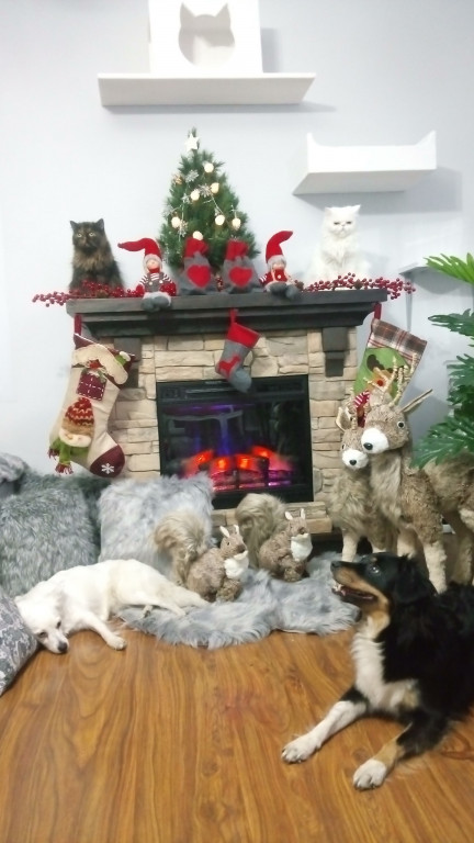 Plebiscyt na najładniejszą świąteczną dekorację