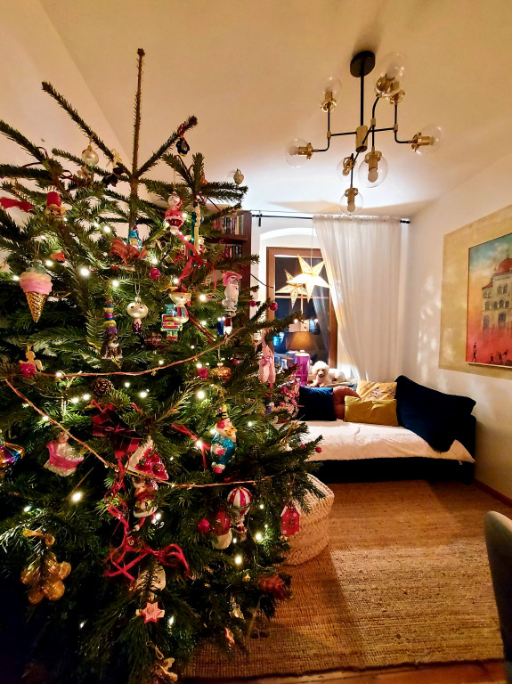 Plebiscyt na najładniejszą świąteczną dekorację