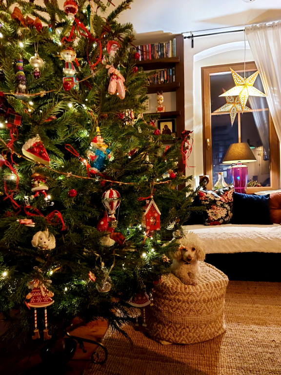 Plebiscyt na najładniejszą świąteczną dekorację