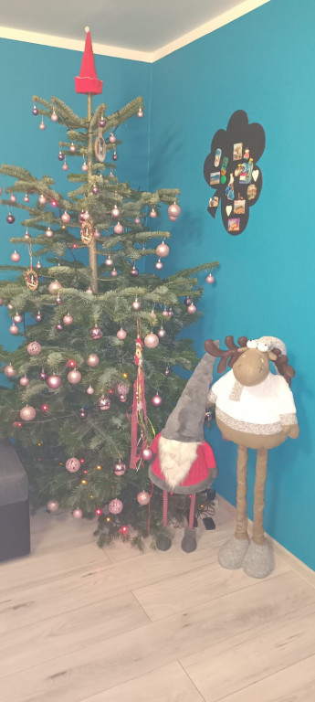 Plebiscyt na najładniejszą świąteczną dekorację