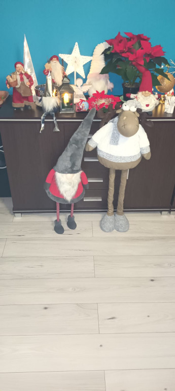 Plebiscyt na najładniejszą świąteczną dekorację