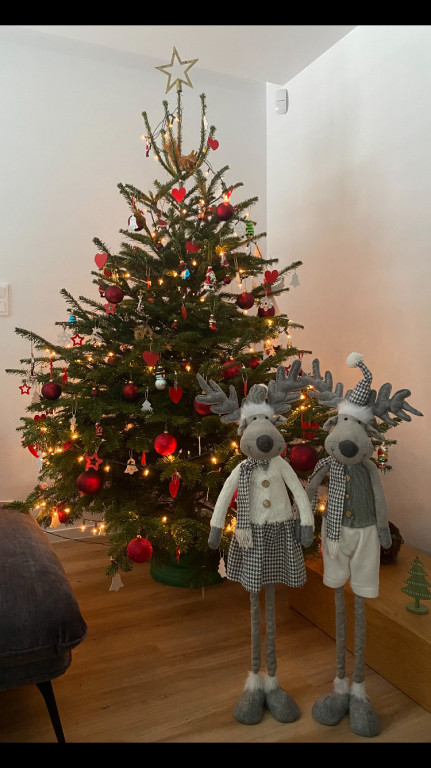 Plebiscyt na najładniejszą świąteczną dekorację