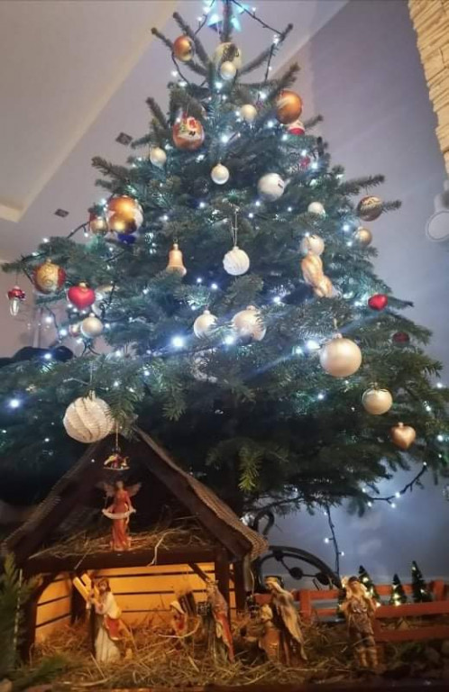 Plebiscyt na najładniejszą świąteczną dekorację